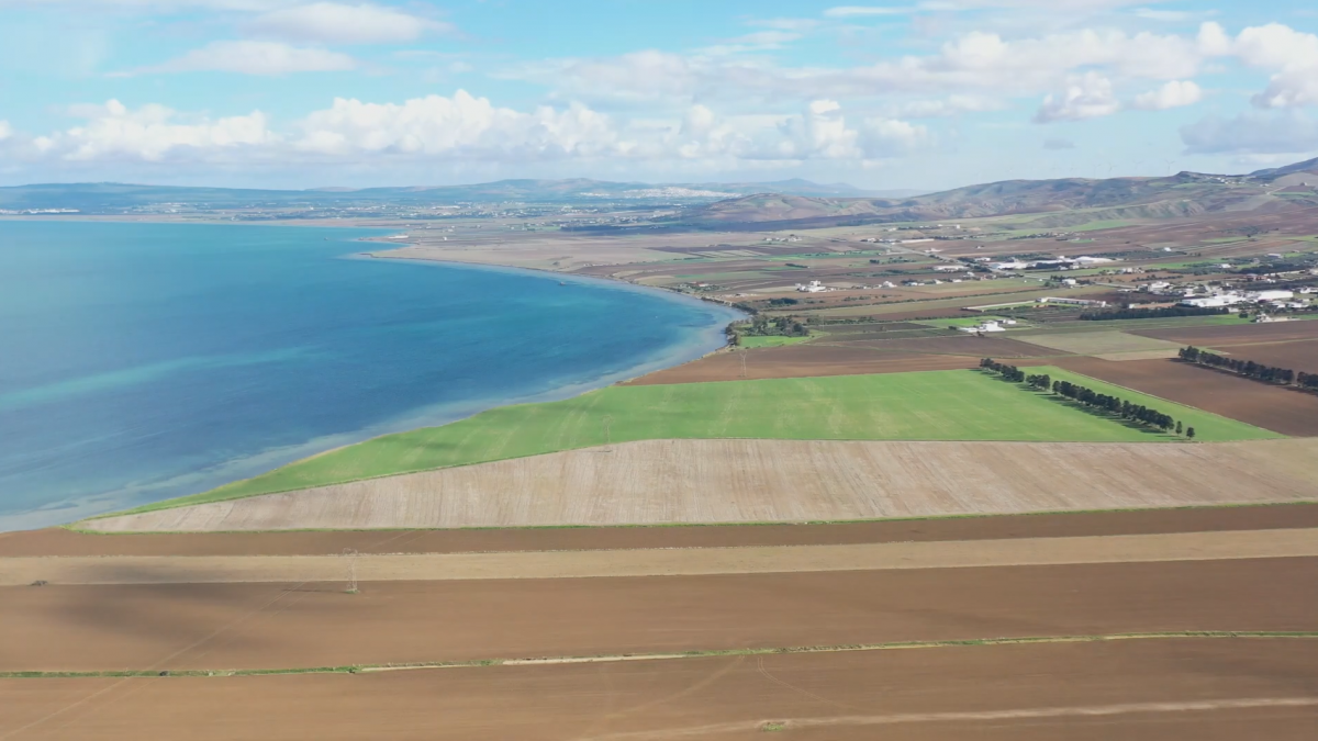 WWF North Africa : L&rsquo;impact de la pollution en Tunisie vu du ciel