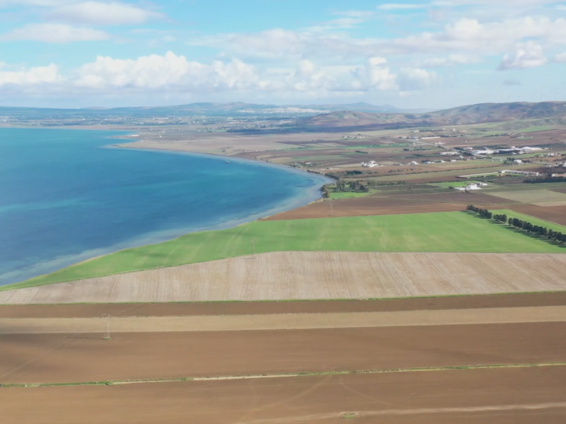 WWF North Africa : L&rsquo;impact de la pollution en Tunisie vu du ciel